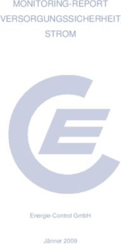 MONITORING-REPORT VERSORGUNGSSICHERHEIT STROM - Energie-Control GmbH Jänner 2009