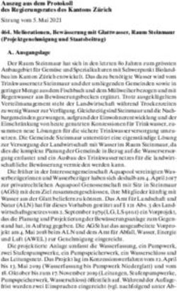 Auszug aus dem Protokoll des Regierungsrates des Kantons Z&uuml;rich - Kanton Z&uuml;rich