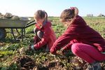 KONZEPT ETTENHEIM SOLIDARISCHE LANDWIRTSCHAFT - BIALLOWONS & KÜCHLIN GBR MEIERGASSE 12 79295 SULZBURG - LEBENSMITTELPUNKT ETTENHEIM E. V.