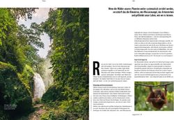 Wenn die Wälder unseres Planeten weiter systematisch zerstört werden, verschärft das die Klimakrise, den Wassermangel, das Artensterben und ...