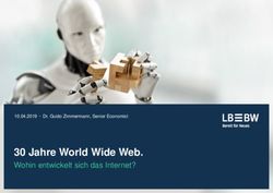 30 Jahre World Wide Web - Wohin entwickelt sich das Internet? 10.04.2019 Dr. Guido Zimmermann, Senior Economist - Die LBBW