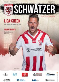 Schw&auml;tzer LIGA-check UNSER TRAINER - FC Giessen