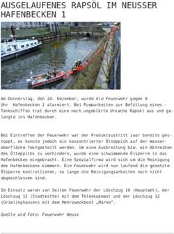 AUSGELAUFENES RAPS&Ouml;L IM NEUSSER HAFENBECKEN