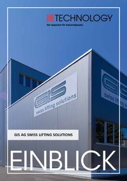 GIS AG SWISS LIFTING SOLUTIONS - IE Group