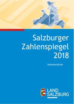 Salzburger Zahlenspiegel 2018 - Interpretation - Land Salzburg