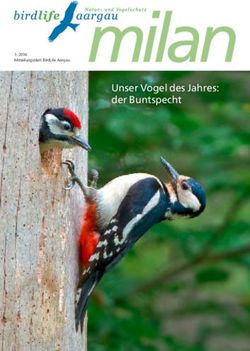 Milan Unser Vogel des Jahres- Der Buntspecht - Birdlife Aargau