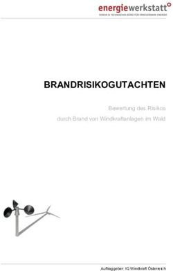 BRANDRISIKOGUTACHTEN Bewertung des Risikos durch Brand von Windkraftanlagen im Wald - IG Waldviertel
