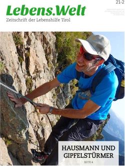 Lebens..WeltWelt - HAUSMANN UND GIPFELST&Uuml;RMER - Lebenshilfe Tirol