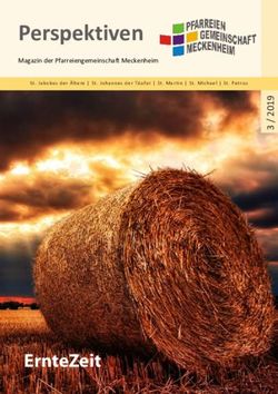 Perspektiven - ErnteZeit - Magazin der Pfarreiengemeinschaft Meckenheim - Pfarreiengemeinschaft ...