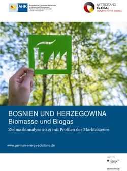 BOSNIEN UND HERZEGOWINA - Biomasse und Biogas Zielmarktanalyse 2019 mit Profilen der Marktakteure - energiewaechter GmbH
