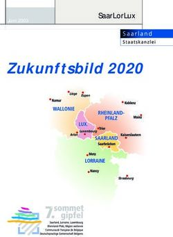 ZUKUNFTSBILD 2020 SAARLORLUX - JUNI 2003 - IPR