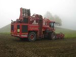 STECKBRIEF Zuckerrüben - Landwirtschaftliches Zentrum ...