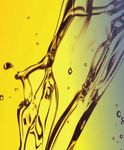 LEPRINXOL 03.2021 Years - Leprinxol GmbH