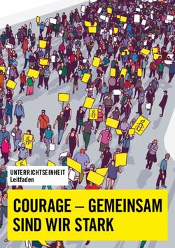 COURAGE - GEMEINSAM SIND WIR STARK - UNTERRICHTSEINHEIT Leitfaden - Amnesty ...