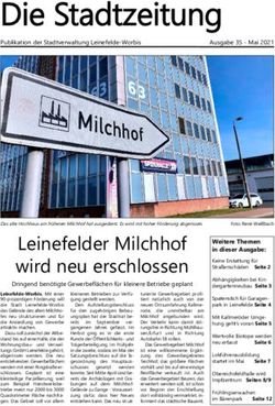 DDiiee SSttaaddttzzeeiittuunngg - Stadt Leinefelde-Worbis