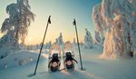 Finnischer Winterzauber in Lappland! - 8 Tage-Flugreise Polarlicht, Rentiere und Weihnachtsmanndorf - Volksstimme