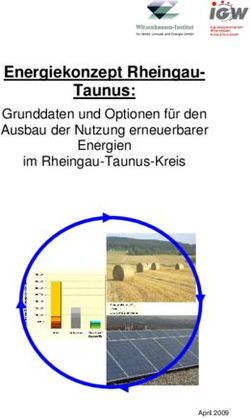 Energiekonzept Rheingau-Taunus: Grunddaten und Optionen für den Ausbau der Nutzung erneuerbarer Energien im Rheingau-Taunus-Kreis ...