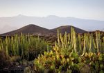 Suite Hotel Atlantis Fuerteventura Resort - ITS Coop Travel