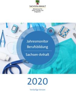 2020 Jahresmonitor Berufsbildung Sachsen-Anhalt - Vorläufige Version