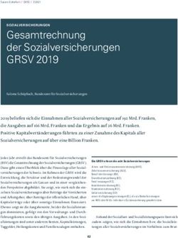 Gesamtrechnung der Sozialversicherungen - GRSV 2019 - BSV