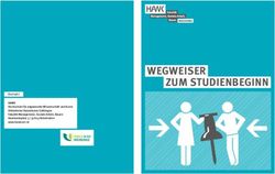 WEGWEISER ZUM STUDIENBEGINN - HAWK