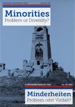 Minorities - Minderheiten Problem oder Vielfalt? - Historisches Seminar