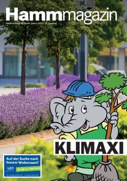 KLIMAXI - Hamm-Magazin | Verkehrsverein-Hamm