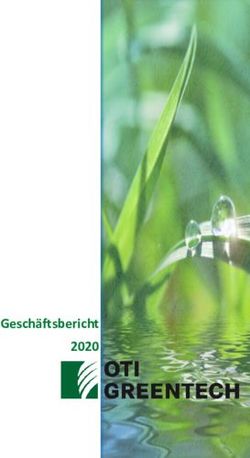 Gesch&auml;ftsbericht 2020 - OTI Greentech-Konzern