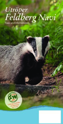 Feldberg Navi Utröper - Tipps und Informationen