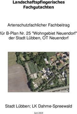 Artenschutzfachlicher Fachbeitrag für B-Plan Nr. 25 "Wohngebiet Neuendorf" der Stadt Lübben, OT Neuendorf - Stadt Lübben; LK Dahme-Spreewald ...