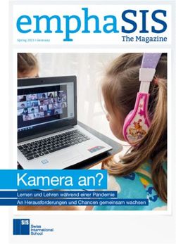 Kamera an? Lernen und Lehren w&auml;hrend einer Pandemie An Herausforderungen und Chancen gemeinsam wachsen - SIS Swiss International School