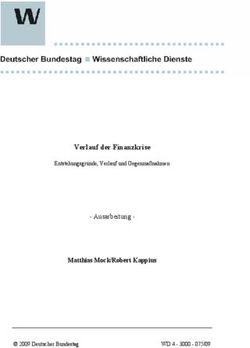 Verlauf der Finanzkrise - Ausarbeitung - Matthias Mock/Robert Kappius