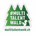 Richtlinie zum Einrichten und Schonen von Habitatbäumen Habitatbaumkonzept Graubünden