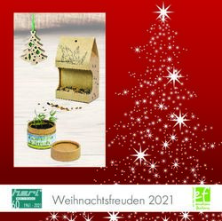 Weihnachtsfreuden 2021 - emotion factory