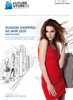 FASHION SHOPPING IM JAHR 2020 - EXPERTENSTUDIE MASTERSTUDIENGANG ELEKTRONISCHE MEDIEN, HOCHSCHULE DER MEDIEN (HDM), STUTTGART