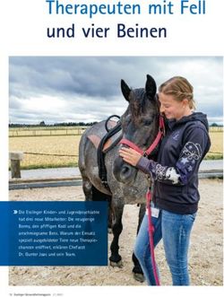 Therapeuten mit Fell und vier Beinen - Klinikum Esslingen