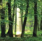 Naturschutzarbeit in Deutschland 2018 - Arbeitsschwerpunkte der in Naturschutz und Landschaftspflege tätigen Institutionen