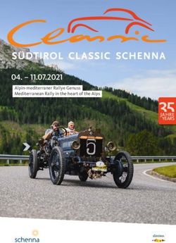 Alpin-mediterraner Rallye Genuss Mediterranean Rally in the heart of the Alps - S&uuml;dtirol Classic Schenna