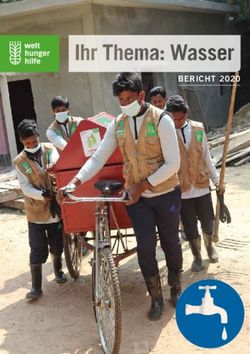 BERICHT 2020 - Welthungerhilfe