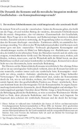 Die Dynamik des Konsums und die moralische Integration moderner Gesellschaften - ein Konzeptualisierungsversuch1