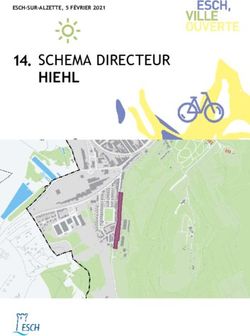 HIEHL 14. SCHEMA DIRECTEUR - ESCH-SUR-ALZETTE, 5 FÉVRIER 2021 - Ville d'Esch ...