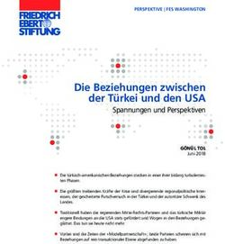 Die Beziehungen zwischen der T&uuml;rkei und den USA - Spannungen und Perspektiven - Bibliothek der ...