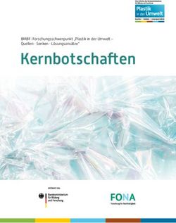 Kernbotschaften BMBF-Forschungsschwerpunkt "Plastik in der Umwelt - Quellen Senken L&ouml;sungsans&auml;tze"